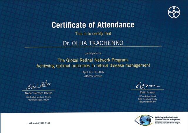 Global retinal network programm